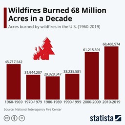 Wildfires Statistics